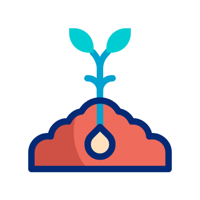 seed