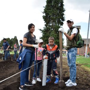 Participando en Voluntariado