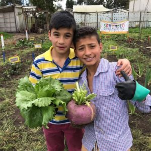 Recogida de la segunda cosecha de la Huerta San Pablo Semillas de Paz