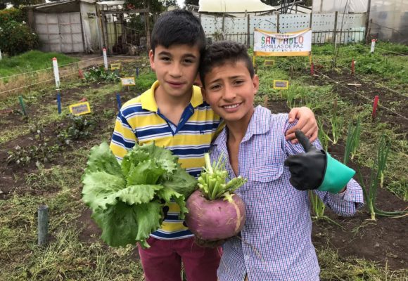 Recogida de la segunda cosecha de la Huerta San Pablo Semillas de Paz